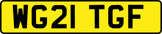 WG21TGF