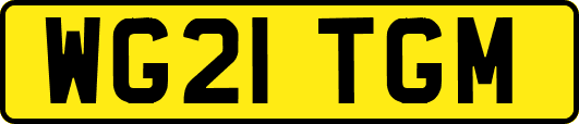 WG21TGM