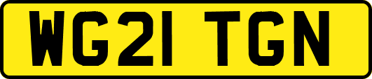 WG21TGN