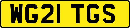 WG21TGS