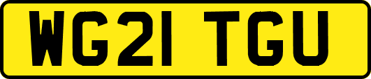 WG21TGU