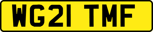 WG21TMF