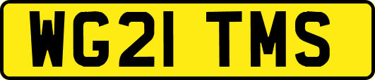 WG21TMS
