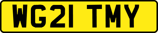 WG21TMY