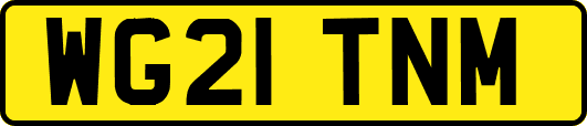 WG21TNM