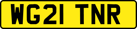 WG21TNR