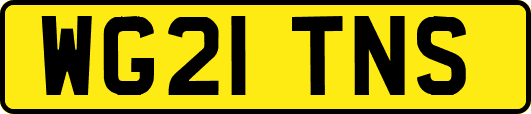 WG21TNS