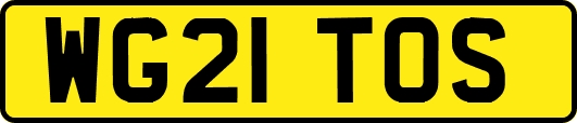 WG21TOS