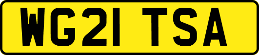 WG21TSA