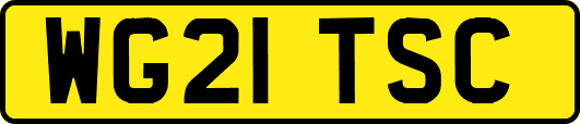 WG21TSC