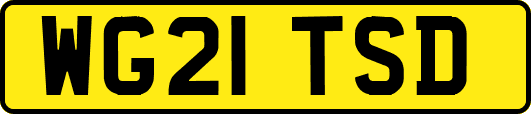 WG21TSD