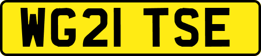 WG21TSE
