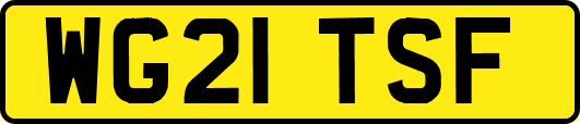 WG21TSF