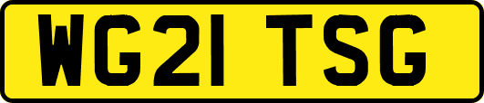 WG21TSG