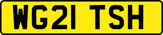 WG21TSH