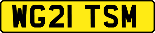 WG21TSM