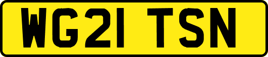 WG21TSN