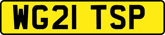 WG21TSP