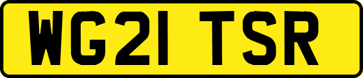 WG21TSR