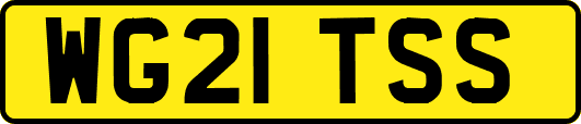 WG21TSS