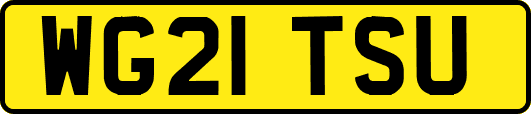 WG21TSU