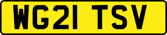 WG21TSV