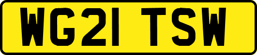 WG21TSW