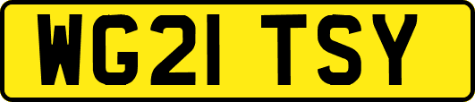WG21TSY