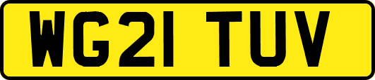 WG21TUV