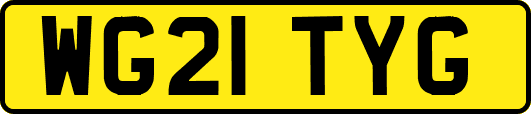 WG21TYG