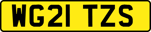WG21TZS