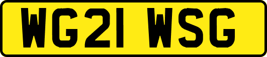 WG21WSG