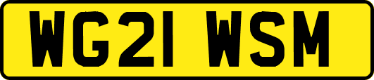 WG21WSM