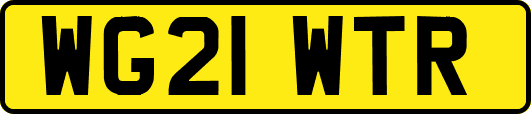 WG21WTR