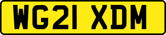 WG21XDM