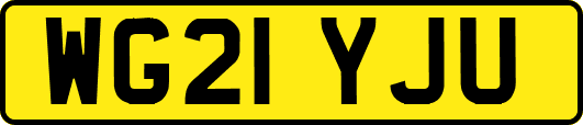 WG21YJU