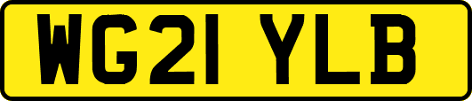 WG21YLB