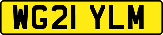 WG21YLM