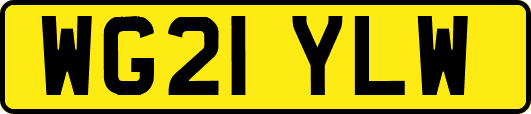 WG21YLW