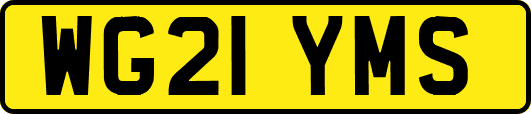WG21YMS