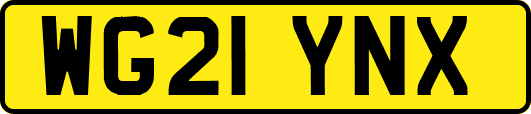 WG21YNX