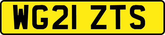 WG21ZTS