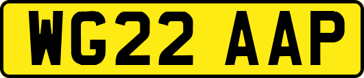 WG22AAP