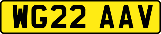 WG22AAV
