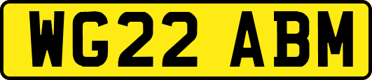 WG22ABM