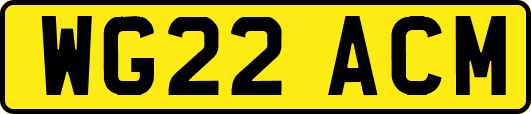 WG22ACM