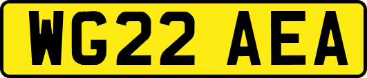 WG22AEA