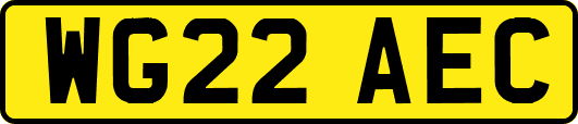 WG22AEC