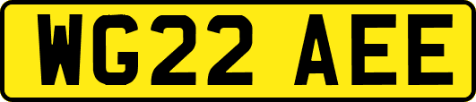 WG22AEE