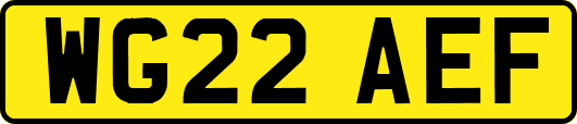 WG22AEF